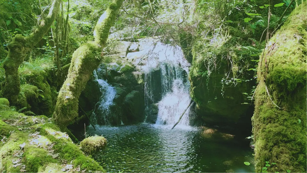 Waterfall Asteria Retreats online